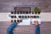 现在在农村做什么生意赚钱_现在在农村做什么生意好