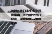 长沙，热门小生意之投资指南，长沙创业热门投资，深度解析与策略推荐