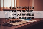 小企业如何选择适合自己的小生意赚取利润？，针对小企业的最佳创业项目，找到盈利的潜力与方法