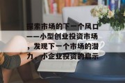 探索市场的下一个风口——小型创业投资市场,发现下一个市场的潜力,小企业投资的启示 探索市场的下一个风口——小型创业投资市场,发现下一个市场的潜力,小企业投资的启示