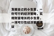 发掘自己的小生意，一份可行的经济策略，实现财富增长的小生意，一项可行性经济策略建议