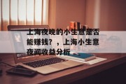 上海夜晚的小生意是否能赚钱？，上海小生意夜间收益分析