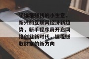 学编程赚钱的小生意，新兴的互联网经济新趋势，新手程序员开启网络创业新时代，编程赚取财富的新方向