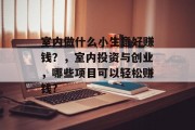 室内做什么小生意好赚钱？，室内投资与创业，哪些项目可以轻松赚钱?