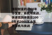 赚取财富的2000年小生意，商机与挑战，快速找到并抓住2000年的2000年小生意商机与挑战