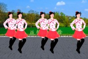 广场舞视频大全狂浪教学