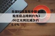 先健科技发布中期业绩 股东应占纯利约为2.06亿元同比减少约6.6%