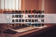 江苏的小生意可以做什么赚钱？，如何选择创业项目并实现盈利，对于江苏地区的创业思考