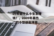 09年做什么小生意赚钱？，2009年最热门的小型创业项目