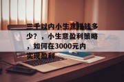 三千以内小生意赚钱多少？，小生意盈利策略，如何在3000元内实现盈利