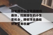 探索哪个小生意最赚钱最快，挖掘潜在的小生意机会，哪些项目最能快速带来收益