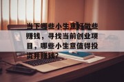 当下哪些小生意好做些赚钱，寻找当前创业项目，哪些小生意值得投资并赚钱？