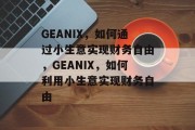 GEANIX，如何通过小生意实现财务自由，GEANIX，如何利用小生意实现财务自由