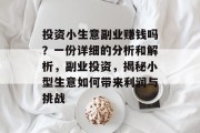 投资小生意副业赚钱吗？一份详细的分析和解析，副业投资，揭秘小型生意如何带来利润与挑战
