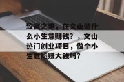 致富之道，在文山做什么小生意赚钱？，文山热门创业项目，做个小生意能赚大钱吗？