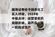 国海证券给予扬农化工买入评级，2024年中报点评：经营受农药周期影响，葫芦岛一期一阶段试生产