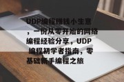 UDP编程赚钱小生意，一份从零开始的网络编程经验分享，UDP 编程初学者指南，零基础新手编程之旅