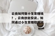 云南如何做小生意赚钱？，云南创业投资，如何通过小生意赚取利润