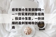 感觉做小生意很赚钱——一份实用的创业指南，投资小生意，一份详细的盈利策略和创业指南