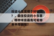 投资小生意哪个好赚钱？，最佳投资的小生意，哪种项目最有可能带来丰厚回报？