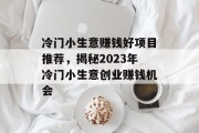冷门小生意赚钱好项目推荐，揭秘2023年冷门小生意创业赚钱机会