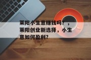 莱阳小生意赚钱吗？，莱阳创业新选择，小生意如何盈利?