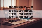 寻找盈利的秘密——探讨目前投资小赚钱快的小生意，快速盈利的小生意，如何找到成功的秘密