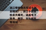 浙江哪些地方可以小创业赚钱？，浙江小创业机会大曝光，涵盖电子商务、餐饮、文化娱乐等领域