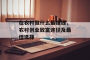 在农村做什么最赚钱，农村创业致富途径及最佳选择