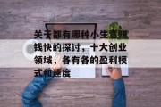 关于都有哪种小生意赚钱快的探讨，十大创业领域，各有各的盈利模式和速度