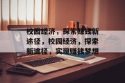 校园经济，探索赚钱新途径，校园经济，探索新途径，实现赚钱梦想