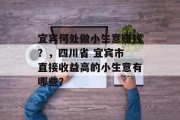 宜宾何处做小生意赚钱？，四川省 宜宾市 直接收益高的小生意有哪些？