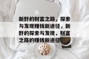 新野的财富之路，探索与发现赚钱新途径，新野的探索与发现，财富之路的赚钱新途径