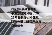 2023年最具潜力的小生意趋势分析，2023年最具潜力小生意趋势分析，新兴产业与投资机会