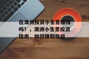 在澳洲投资小生意赚钱吗？，澳洲小生意投资指南，如何赚取收益