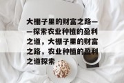 大棚子里的财富之路——探索农业种植的盈利之道，大棚子里的财富之路，农业种植的盈利之道探索