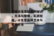 掌握小生意的盈利秘诀，方法与策略，实战秘籍，小生意盈利之术与策略分享
