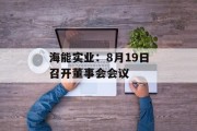 海能实业：8月19日召开董事会会议