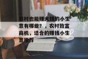 农村也能赚大钱的小生意有哪些？，农村致富商机，适合的赚钱小生意推荐
