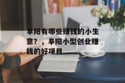 阜阳有哪些赚钱的小生意？，阜阳小型创业赚钱的好项目