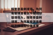 探索非盈利项目，为何有些项目看似不赚钱却值得投入，探索非盈利项目，为何有些项目看似不赚钱却价值无量