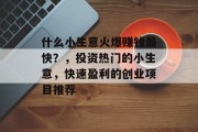 什么小生意火爆赚钱最快？，投资热门的小生意，快速盈利的创业项目推荐