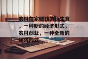 农村在家赚钱的小生意，一种新的经济形式，农村创业，一种全新的经济形式