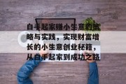 白手起家赚小生意的策略与实践，实现财富增长的小生意创业秘籍，从白手起家到成功之路