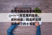 农村几种小生意赚钱快——一份实用的指南，农村创业，找出并选择适合自己的小生意