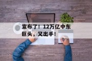 宣布了！12万亿中东巨头，又出手！