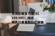 大湾区聚变力量(01189.HK)：陆志明执行董事职位已撤销