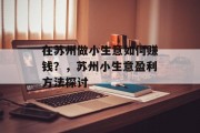在苏州做小生意如何赚钱？，苏州小生意盈利方法探讨