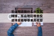 乐山附近做什么小生意赚钱，乐山地区哪些投资项目能够带来高收益？