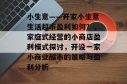 小生意——开家小生意生活超市盈利如何？，家庭式经营的小商店盈利模式探讨，开设一家小商业超市的策略与盈利分析